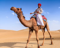 Rajasthan Aravali Tour