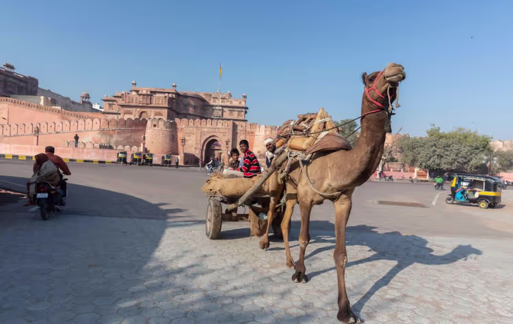 3 Days Jaipur Bikaner Tour