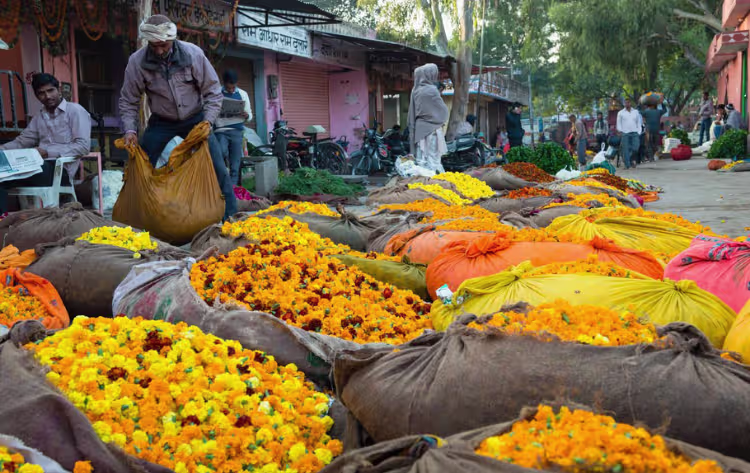Jaipur Sunrise Tour with Flower Market